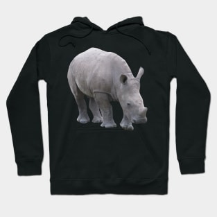 Rhino Baby - Rhino - Wildlife in Africa Hoodie